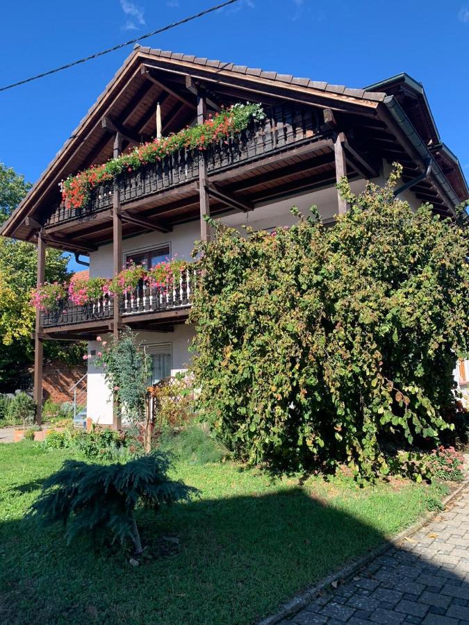 Gaestehaus Zum Rhein Rheinhausen Zewnętrze zdjęcie
